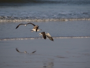 20140314 0644.jpg