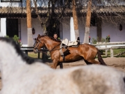 Horse Training, El Rocío